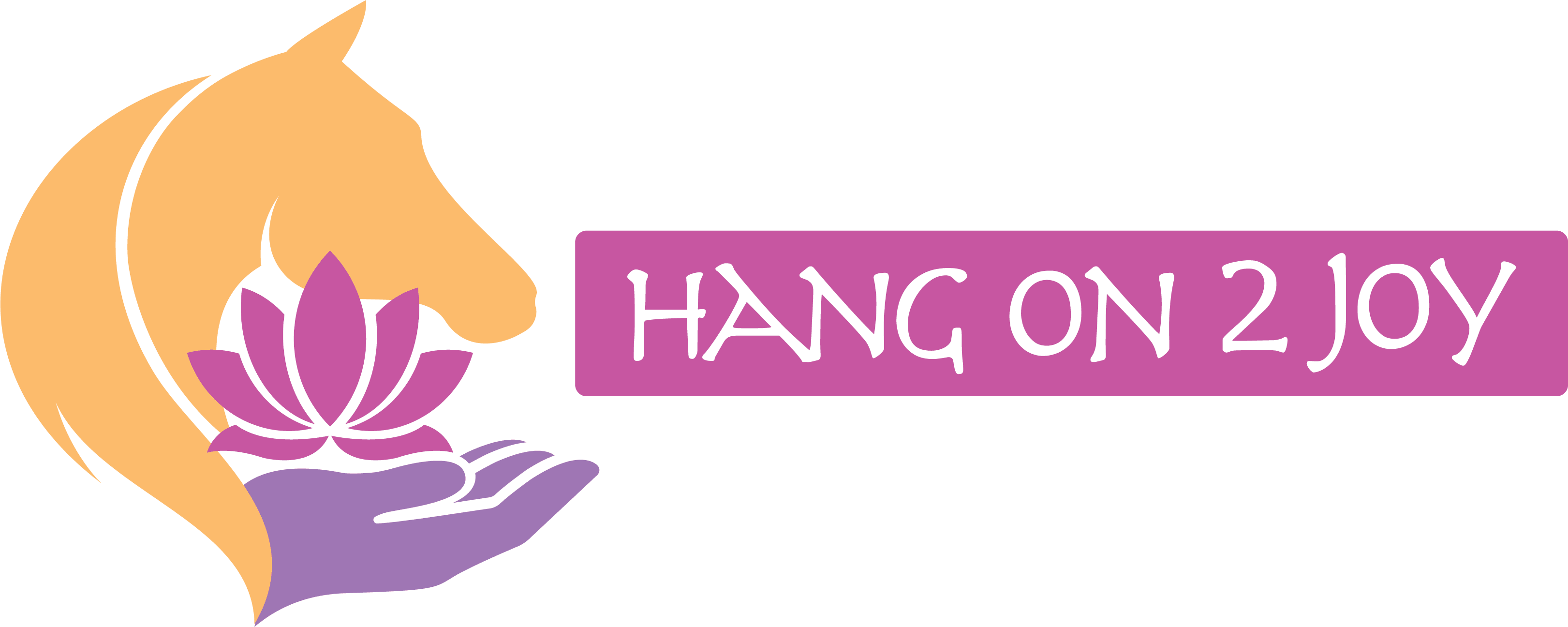 Hang on 2 joy - Haarlemmermeer